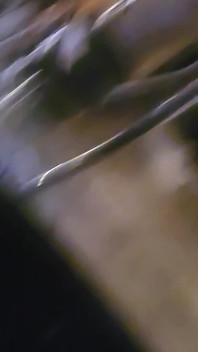 This Is Gateway Dick Right Here