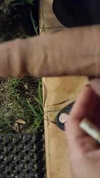 Bella sega in giardino e un sacco di sperma
