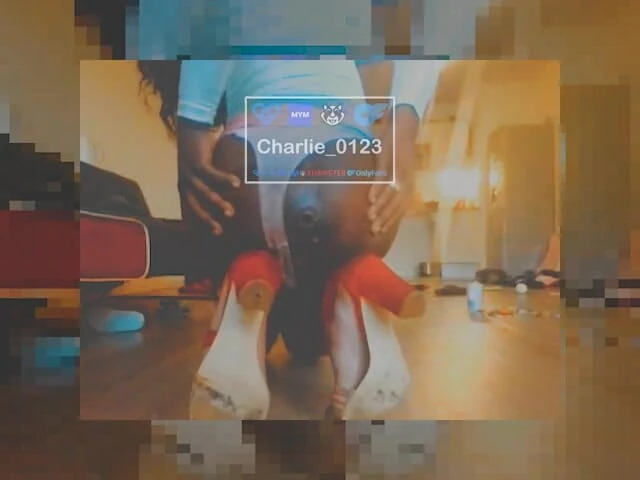 Charlie-0123: 30 सेंटीमीटर, बड़ी चुनौती