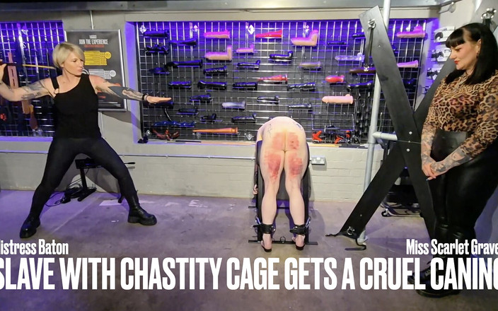 MistressBaton: Sclavul în cușca de castitate are parte de o bătaie crudă