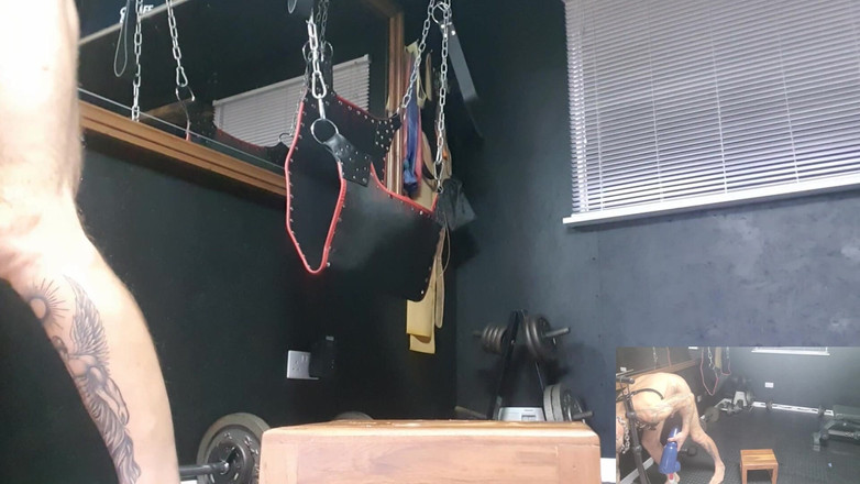 Sexydick: Treno di figa