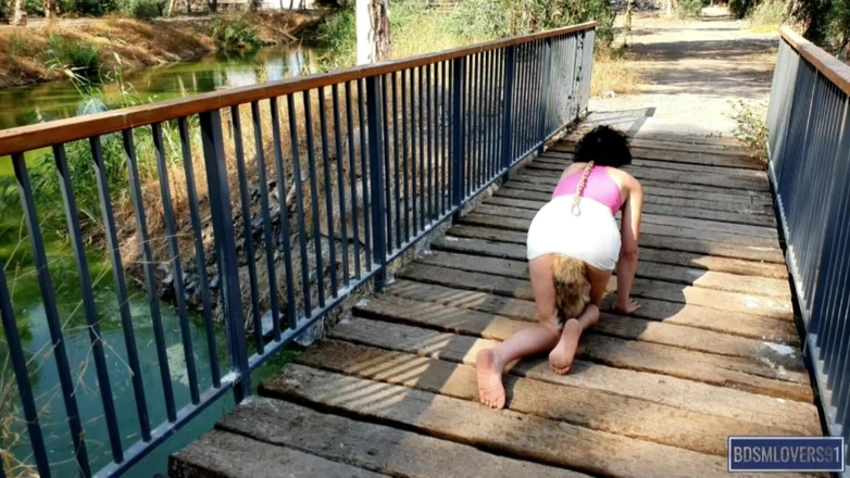 Bdsmlovers91: Sletterige kat loopt in het park - gekleurde versie