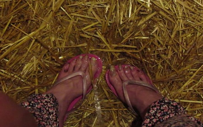 Barefoot Stables: Picioare grajd pișate