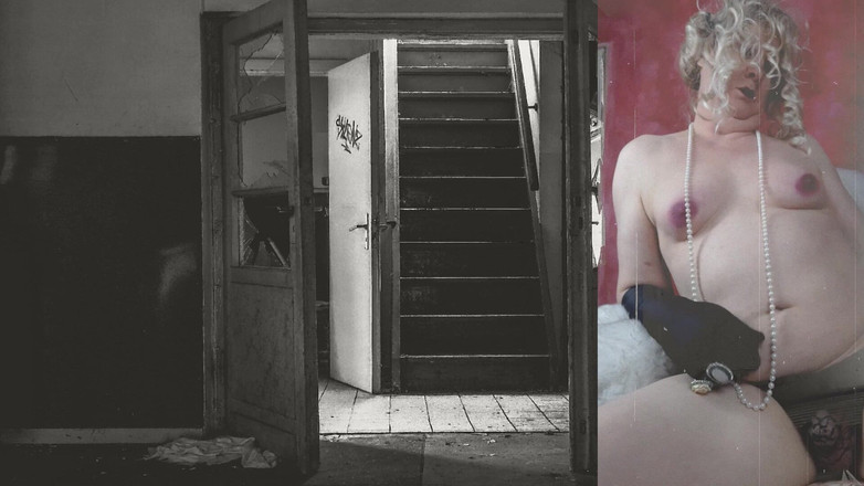 Trans fur bitch: Retro Transfurlady - Dikatakan Dia Adalah Vamp