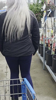 Plant Shopping