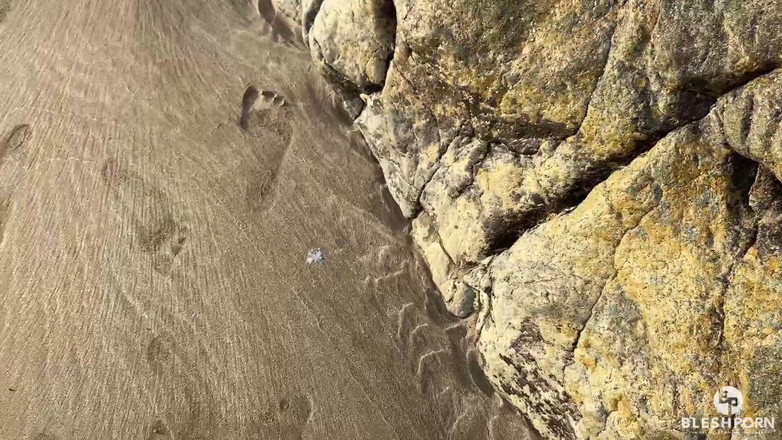 bleshporn: Tim Blesh wytrysk na zewnątrz na plaży