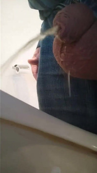 Pisscompi+wank on Toilette