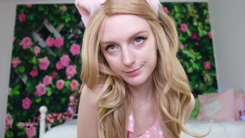 Destination Kat: 唯一の否認