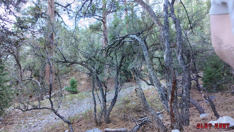 Nasty Sluts Studios: Slut Hunt Ep.7 Xxlayna's Holes Get Exploited