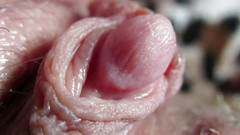 Cuteblonde666: Velká kompilace klitorisu 2