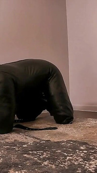 Oznaczone w sukisuit Femdom Anal Strapon