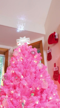 Dekorieren für Weihnachten 2023