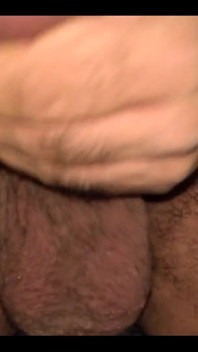 Testicle Tuesday!