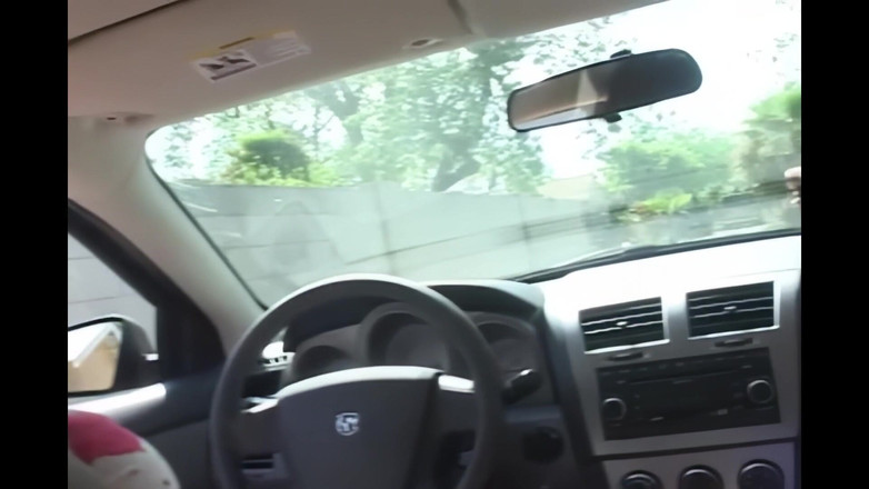 The BronX: 妓女猪