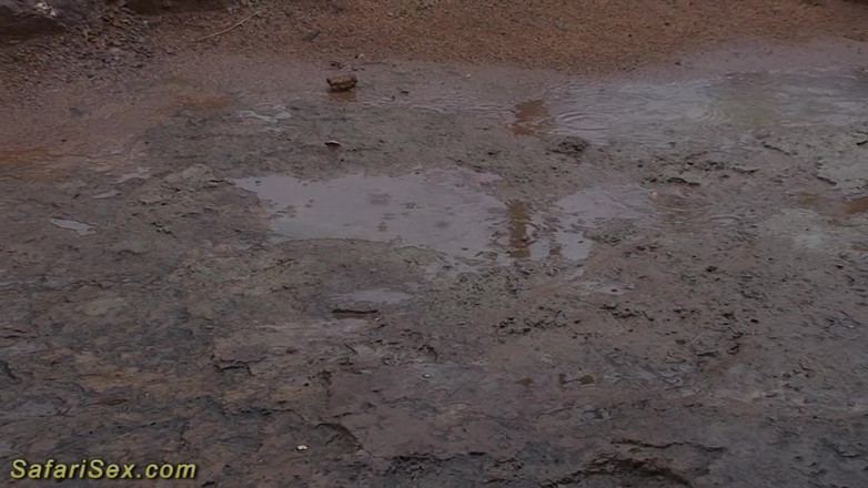 Safari sex: Extreme seks met een hete Afrikaanse huisvrouw
