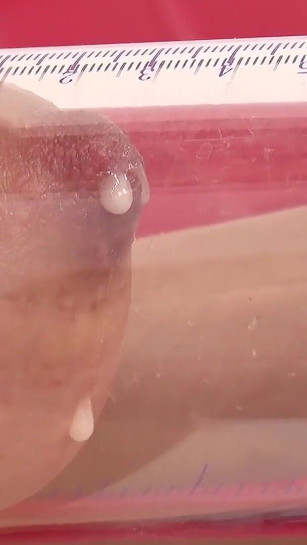 Nanako Hinata Pumps Her Nipples Until They Swell, Clamps Them Hard... and Lets Them Leak Milky Drops. Extreme Close-up POV (Japan Fetish Fusion)