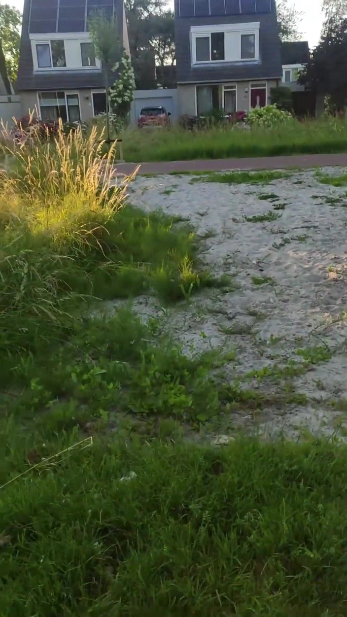 Skwabbr: 私が私のチンポを撫でている間、見知らぬ人たちが近くにいました