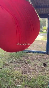 Anteprima Della Passeggiata Nel Parco