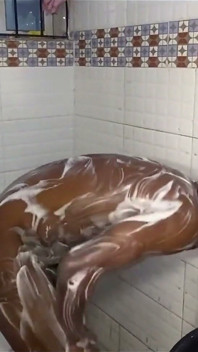 Sneaked up on My Neighbor While He Was Taking His Bath