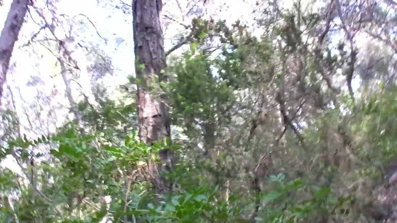 Radical: outdoors amateurs xxx