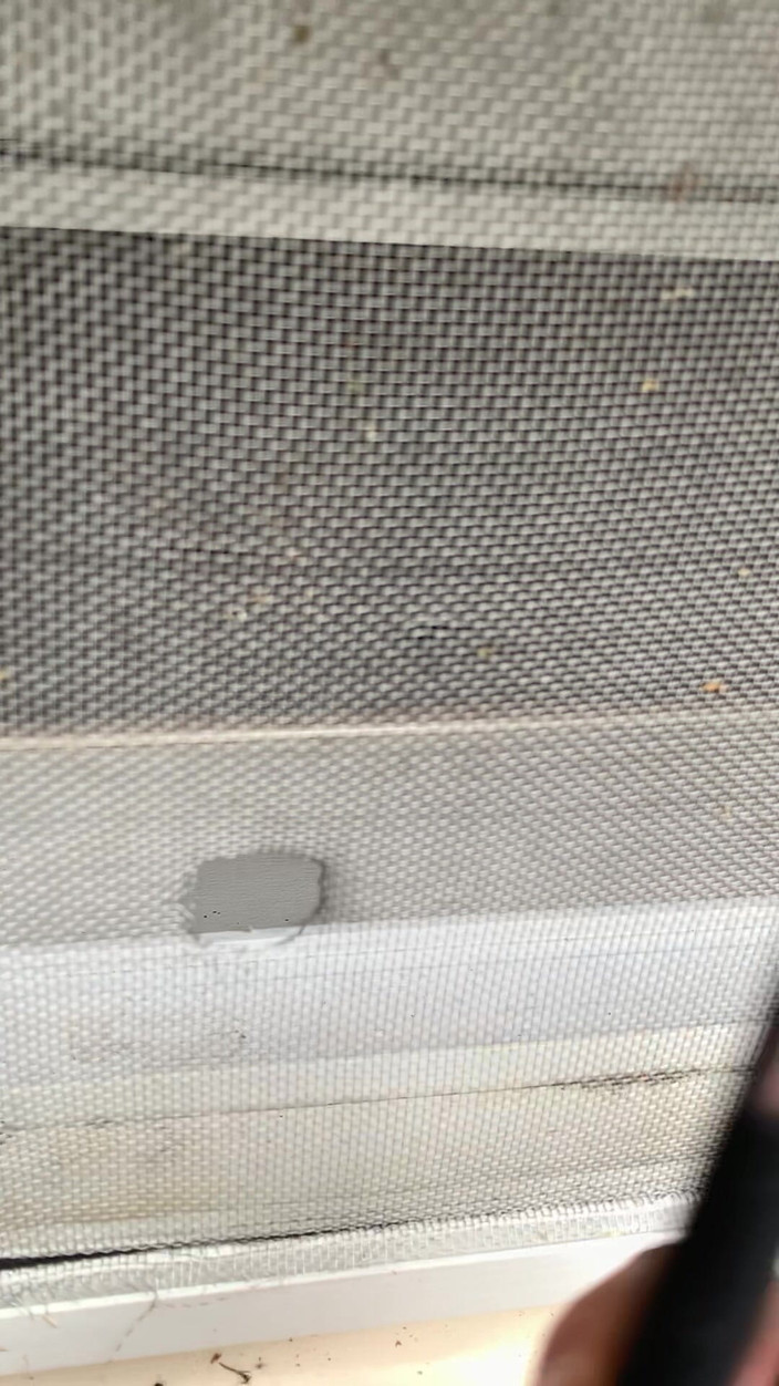 Jaycee starr: Beim masturbieren vom bf erwischt