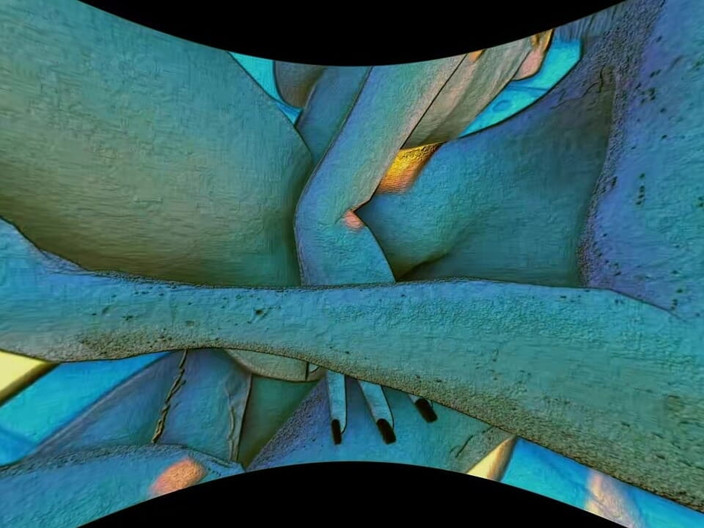 Futanari VR: Funy edice 3