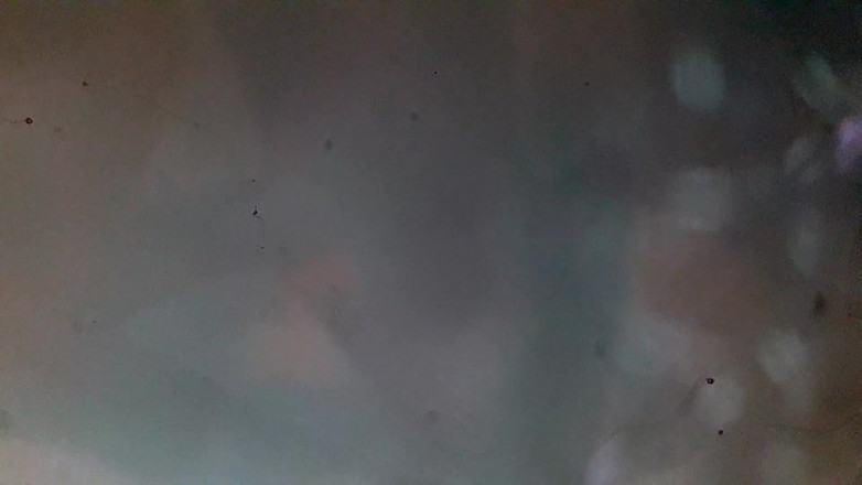 Tina Baby: Fodendo a empregada enquanto ela está cozinhando