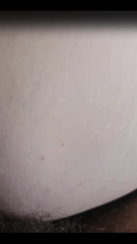 Sexiest Videos Out There