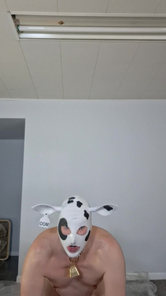 Victoria Lecherri: Văcuța aurie!