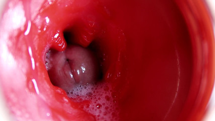 SEXY_GUYBEST: Camera in poesje: krachtig klaarkomen in poesje! Beste interne asmr...