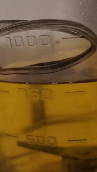 Drink 1 Liter of Piss From the Blender at Once