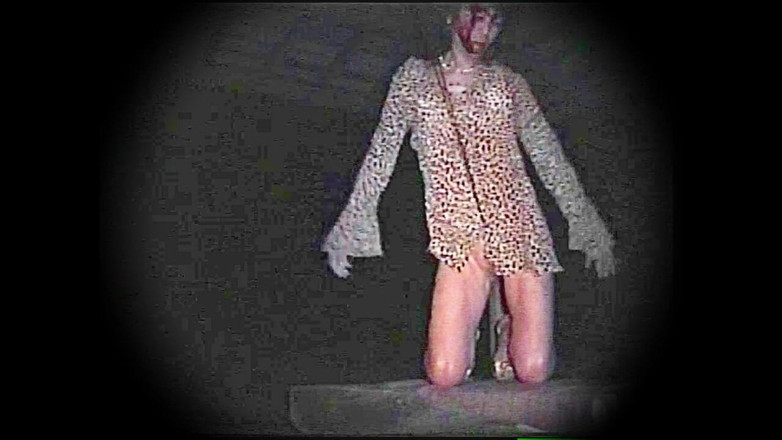 Pai-chan: 真夜中の公園の変態