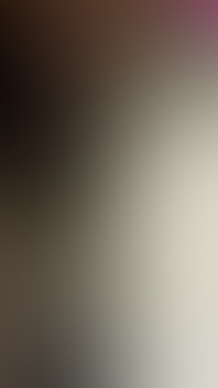 Bareback Beauties - Part #4 - 100% Bareback