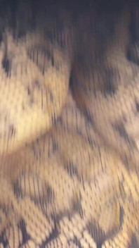 Ebony Huge Boobs