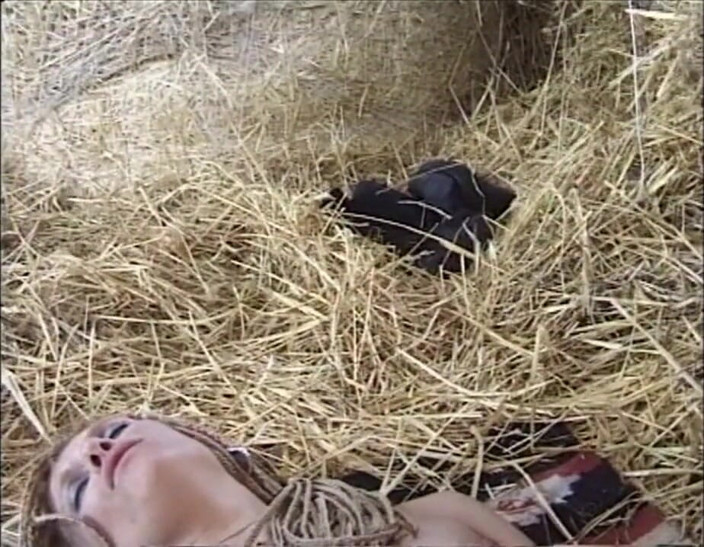 Real Home Made: Threesome vintage in the farm