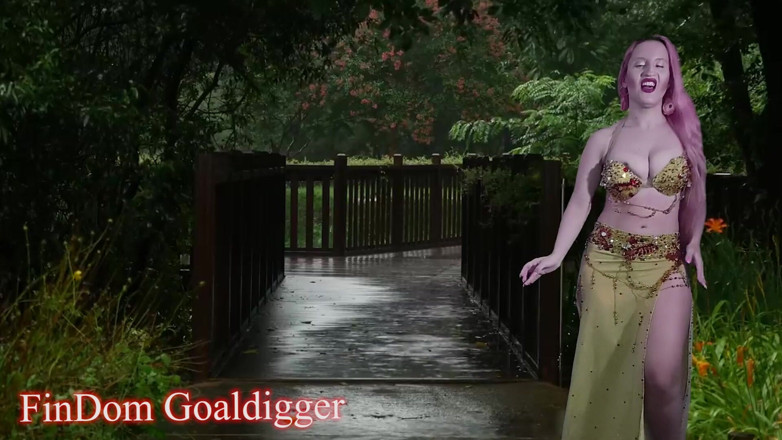 FinDom Goaldigger: Transformasi menjadi pokok