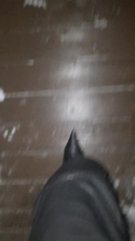 Pointy Boots in Snow