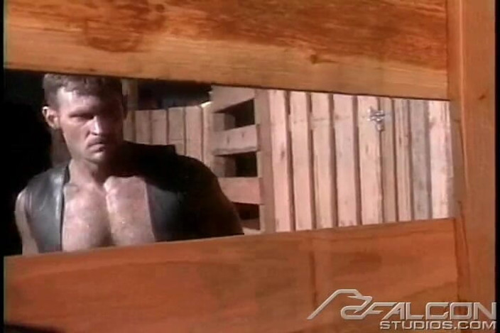 Falcon Studios: Stock: Sentenced
