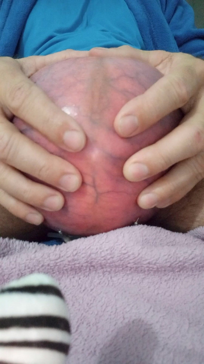 Lion big balls: Aria estrema