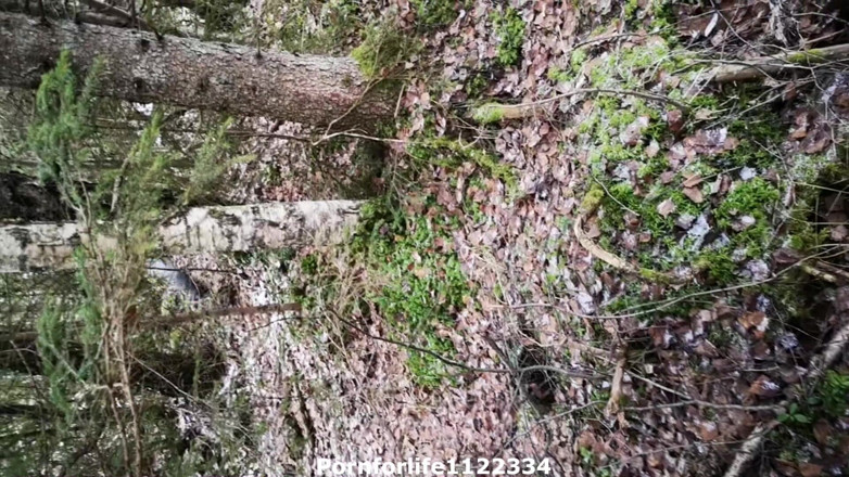 Pornforlife1122334: Ich traf ein fremdes mädchen im öffentlichen park, das meinen schwanz...