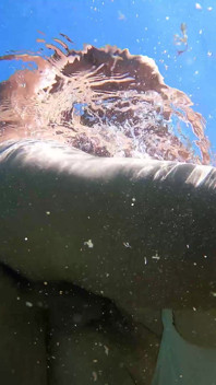 Debaixo d'água, sexo anal, porra, come mijo na boca