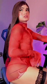 Ladytrans V Spodním Prádle a Nylonových Punčochách, Sexy