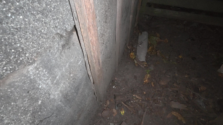 SchoolPrincess: Golden Shower at Night in an Outdoor Shower