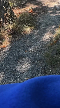 City Tour Gone Wild - Risky Handjob, Blowjob and Doggy - Almost Caught!