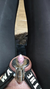 Hard to Fit in Chastity