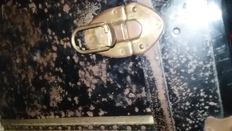 Harley Paradise: 人妻在老公面前骑乘鸡巴