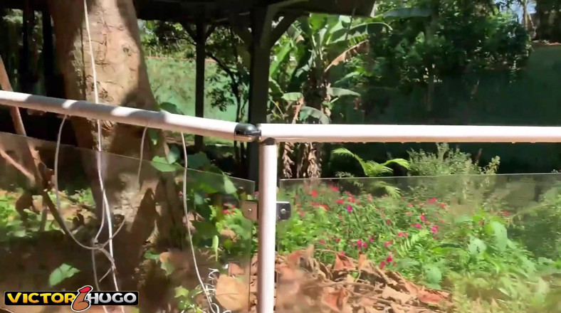 VictorHugo: Je suis allé travailler chez la bombasse