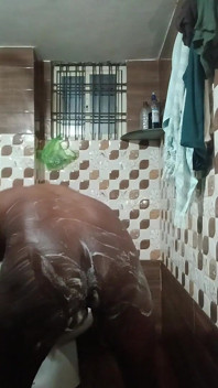 Pantat hitam dapat dilihat semasa mandi
