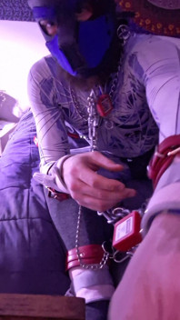 BDSM Pet