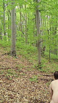 I Chase Him Through the Leaves